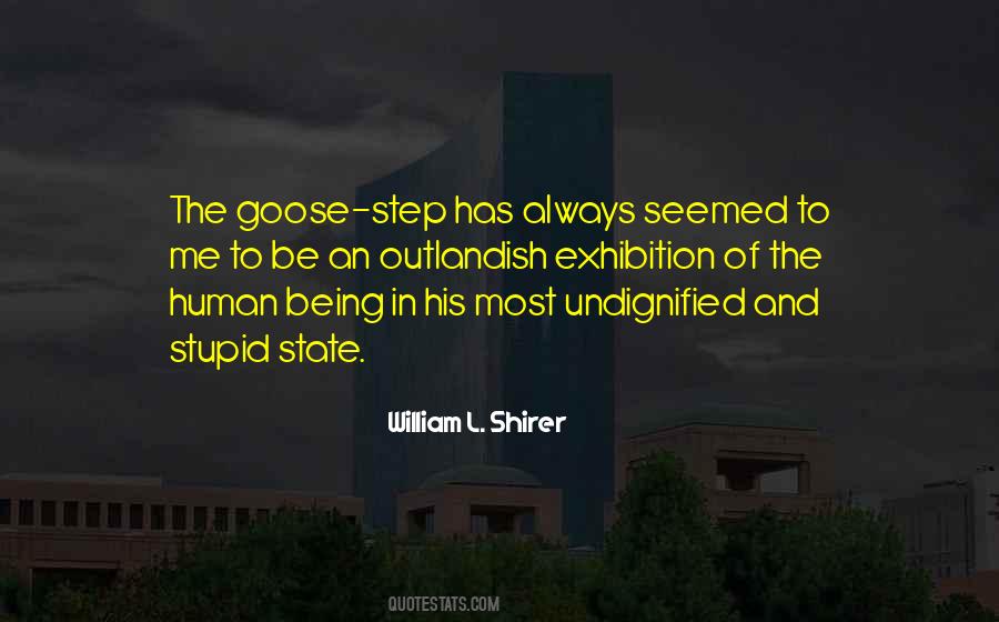 Quotes About Being Stupid #448941 Quotes About Being Stupid #448941