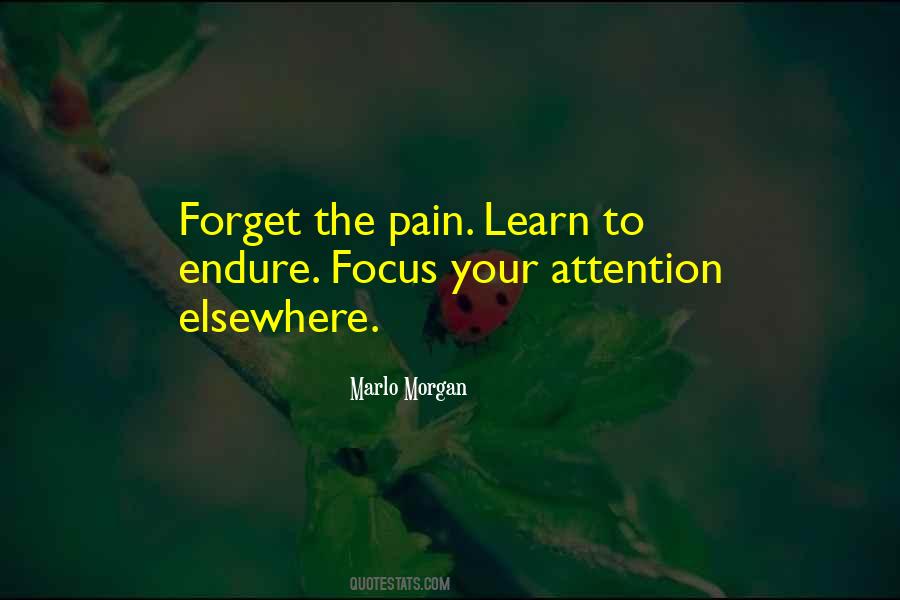 We Learn From Pain Quotes #275977