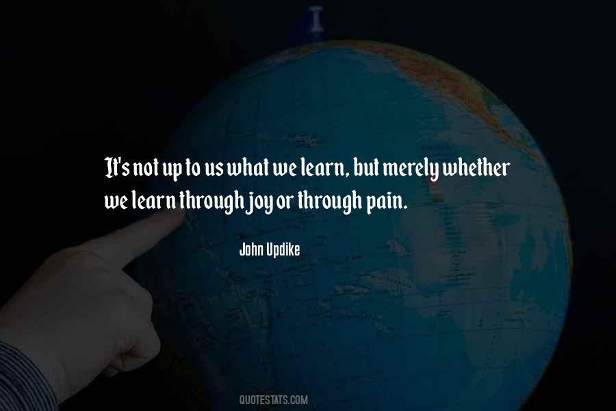 We Learn From Pain Quotes #461574