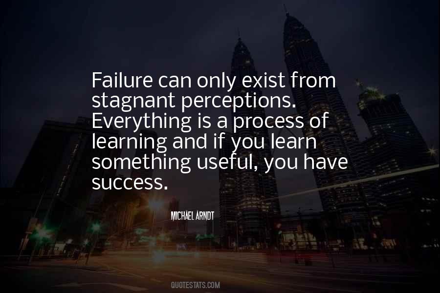 We Learn More From Failure Than Success Quotes #376488