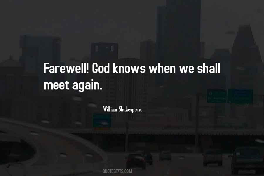 We Shall Meet Again Quotes #369797