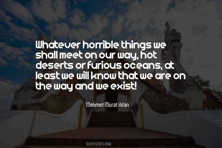 We Shall Meet Quotes #925568