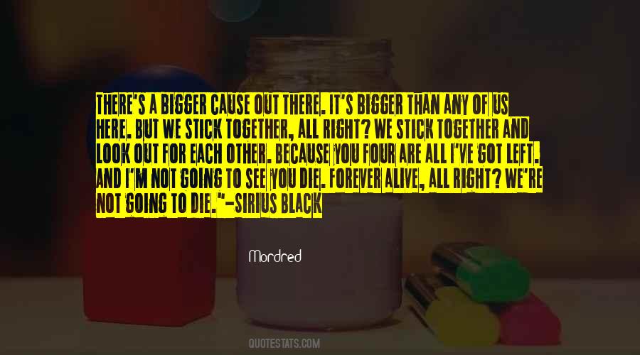 We Stick Together Quotes #242470