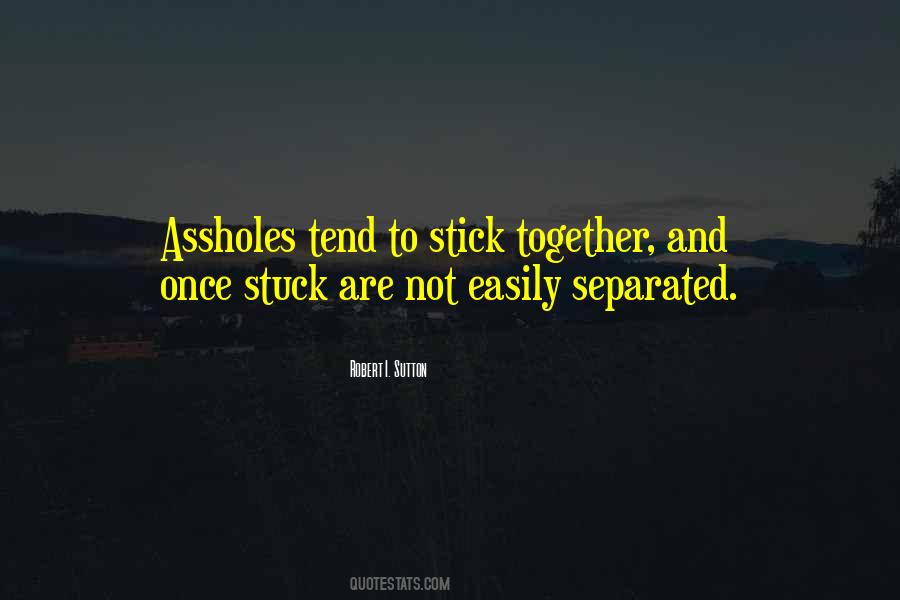 We Will Stick Together Quotes #322226