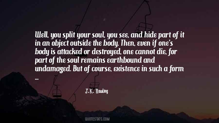 Quotes About The Existence Of The Soul #511036