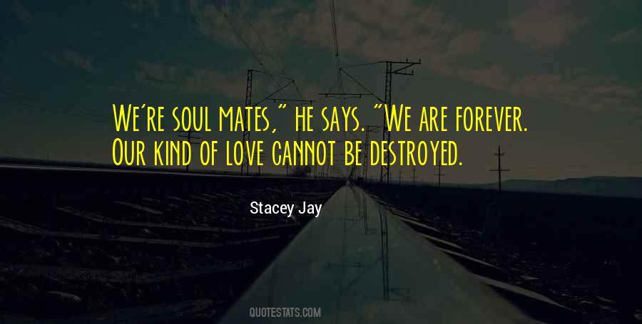 We're Soul Mates Quotes #551768