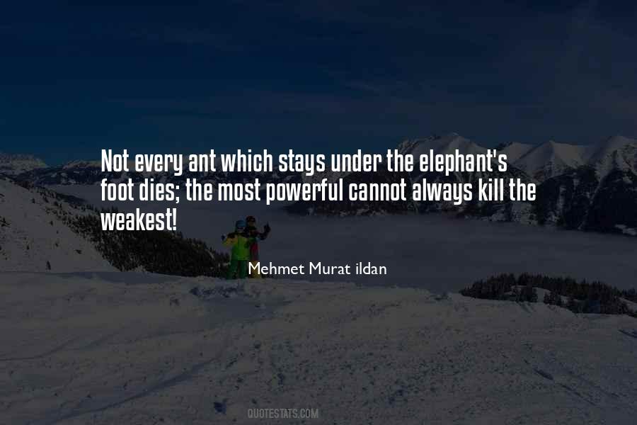 Weakest Quotes #397780 Weakest Quotes #397780