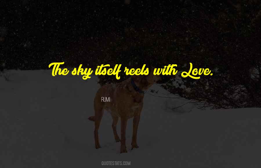 Weathered The Storm Quotes #743542