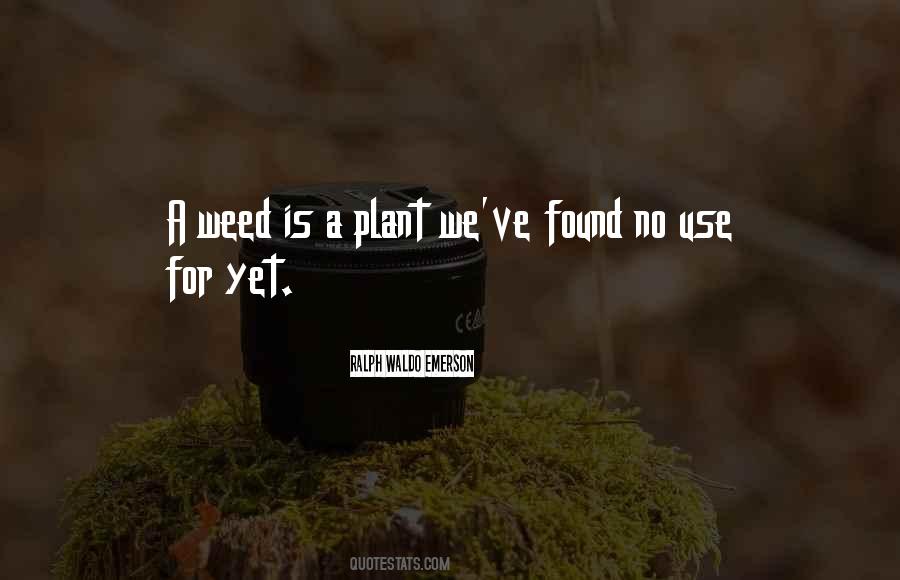 Weed Plant Quotes #1729542