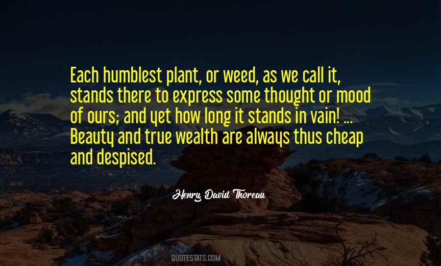 Weed Plant Quotes #245701