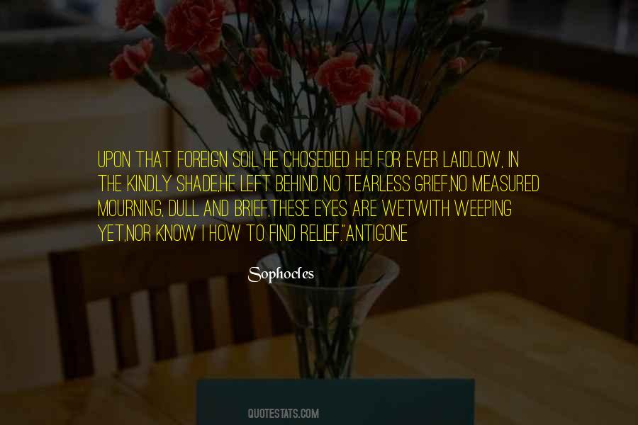 Weeping Eyes Quotes #121116