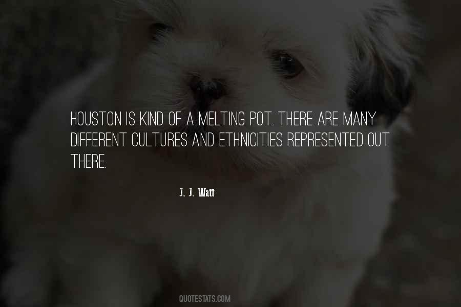 Quotes About Different Cultures #348385