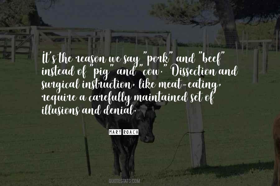 Quotes About Eating Beef #1523737