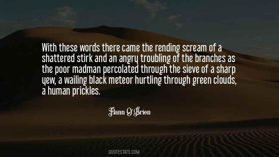 Weird And Strange Quotes #1334112