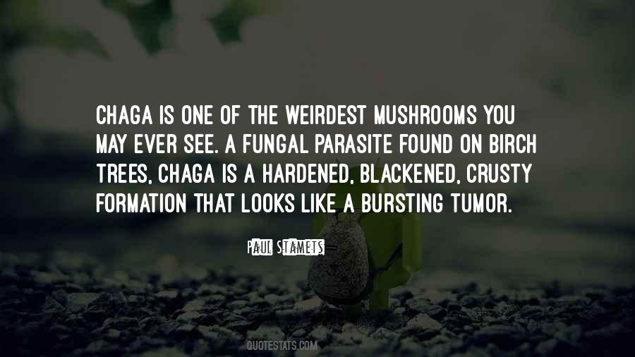 Weirdest Quotes #1613189