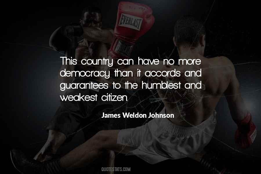 Weldon Johnson Quotes #302184