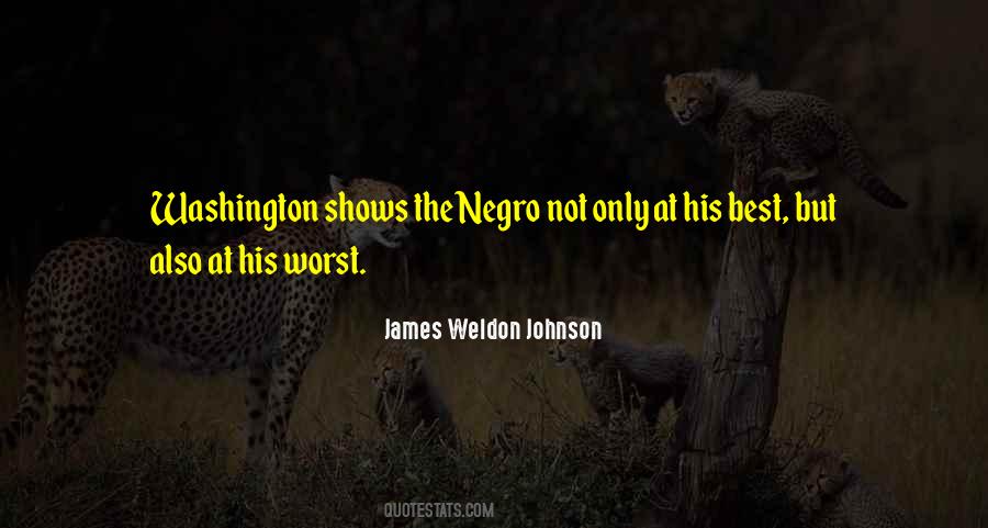 Weldon Johnson Quotes #995029