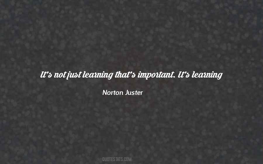 Quotes About Learning What's Important #89323