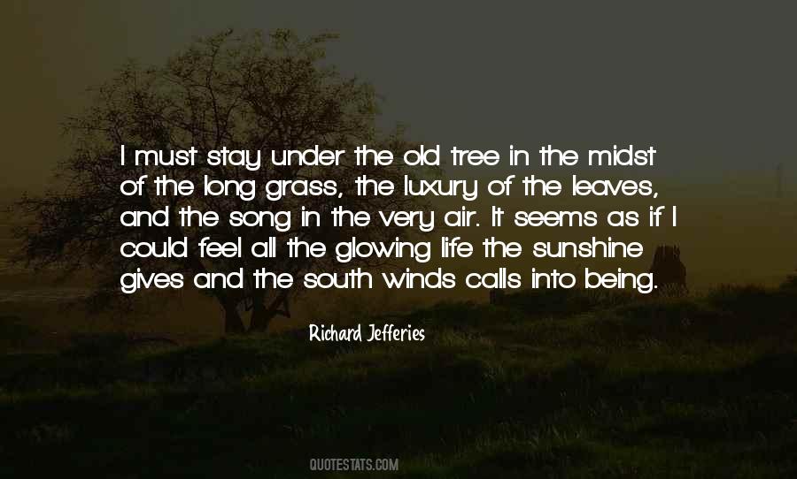 Quotes About Tree And Leaves #1047238