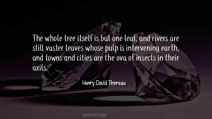 Quotes About Tree And Leaves #966858