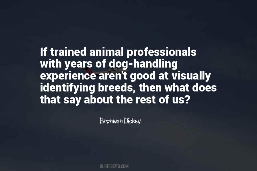 Well Trained Dog Quotes #898247