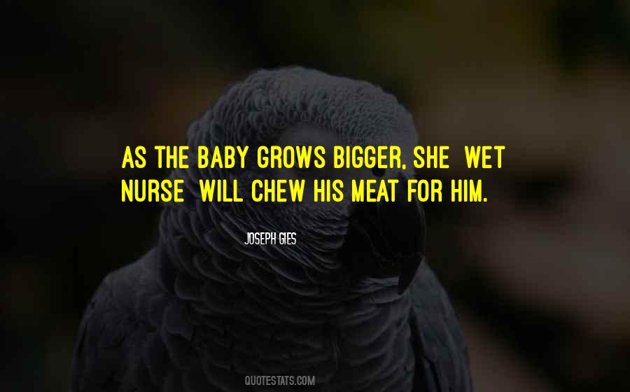 Wet Nurse Quotes #1291811