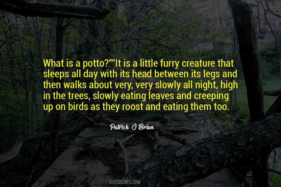What Day Is It Quotes #80458