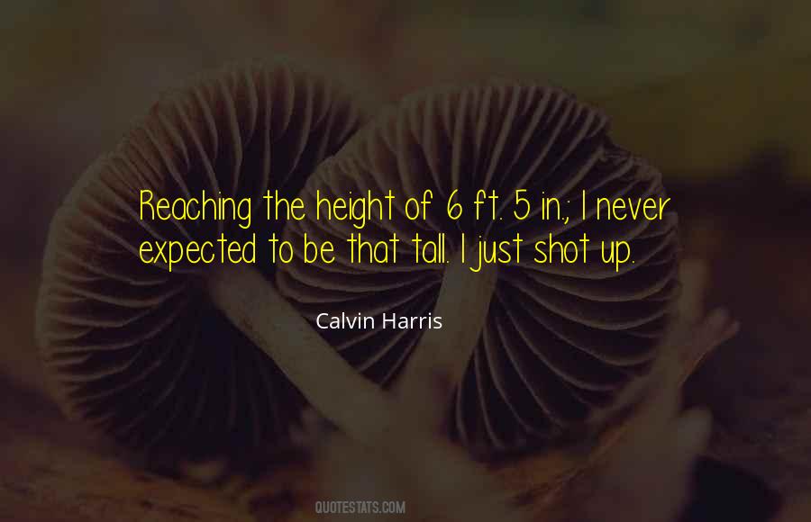 Quotes About Never Expected #1019503