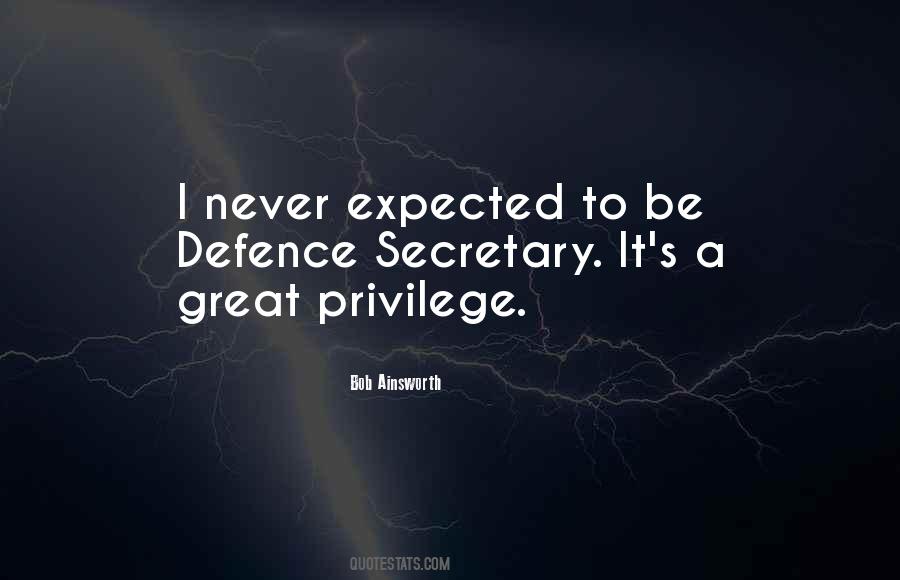 Quotes About Never Expected #1311644