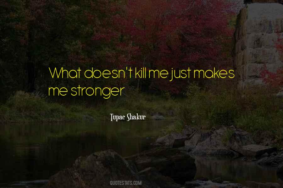 What Doesn't Kill Me Makes Me Stronger Quotes #1556416
