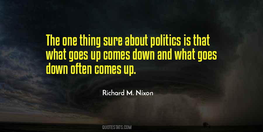 What Goes Up Comes Down Quotes #1533376