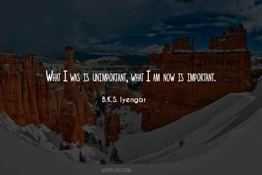 What I Am Now Quotes #1419761