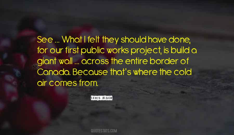 What I Should Have Done Quotes #85958