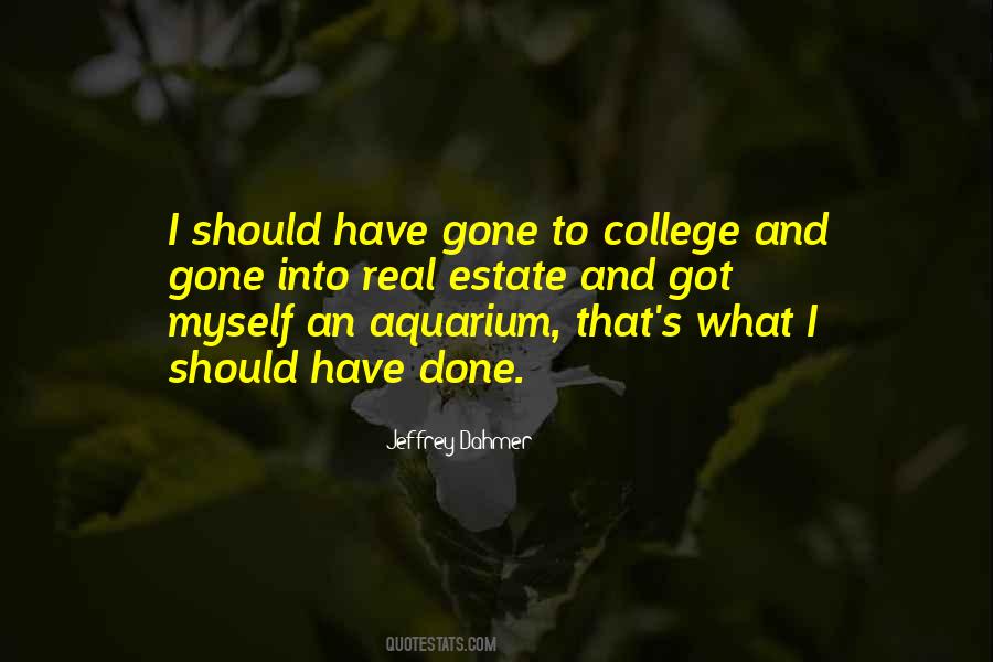 What I Should Have Done Quotes #893084