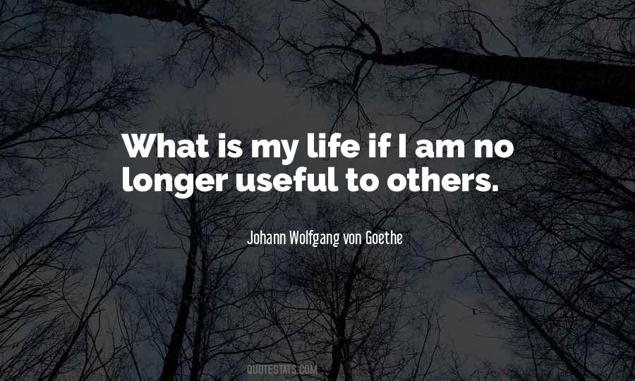 What Is My Life Quotes #628990