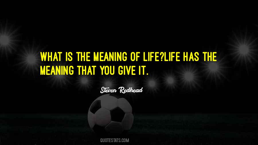 What Is The Meaning Of Life Quotes #1443319
