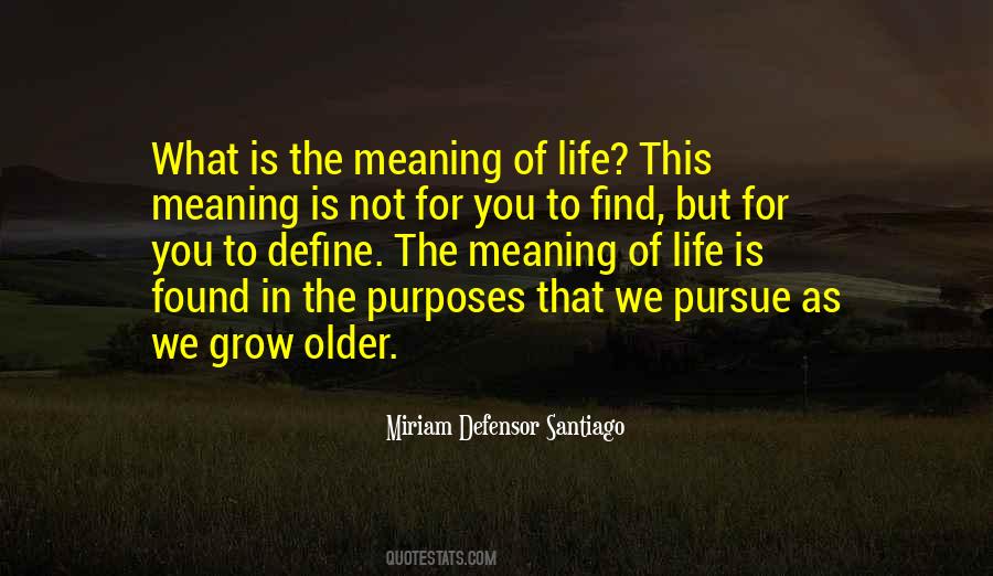 What Is The Meaning Of Life Quotes #1563439