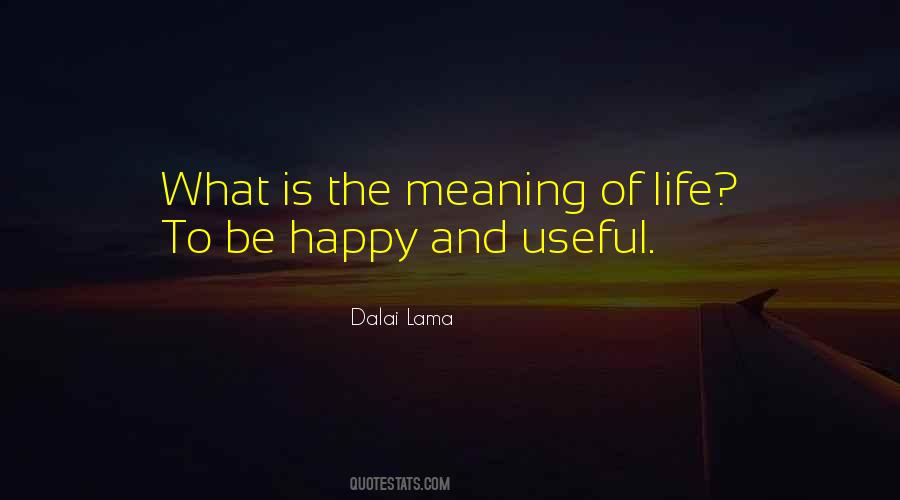 What Is The Meaning Of Life Quotes #1659743