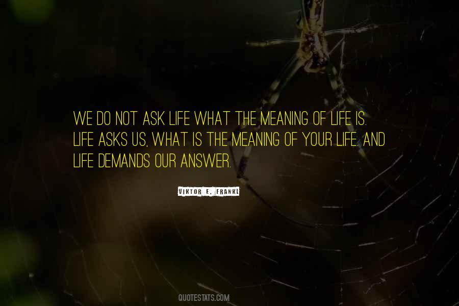 What Is The Meaning Of Life Quotes #193137