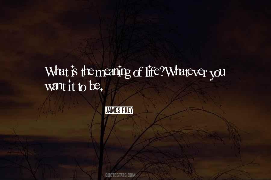 What Is The Meaning Of Life Quotes #234528