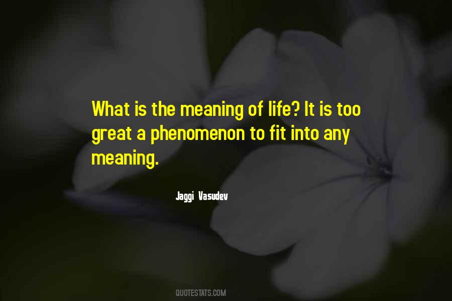What Is The Meaning Of Life Quotes #392497