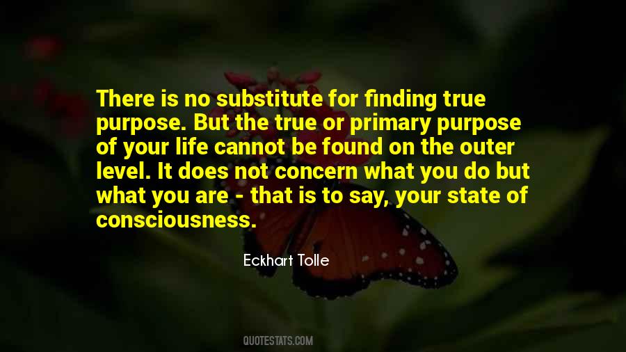 What Is The Purpose Of Life Quotes #140241