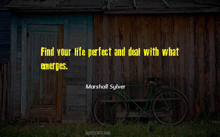 What Life Deals Quotes #1811287