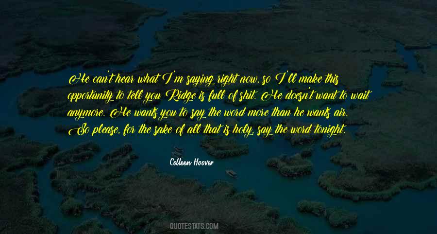 What More Can I Say Quotes #477515