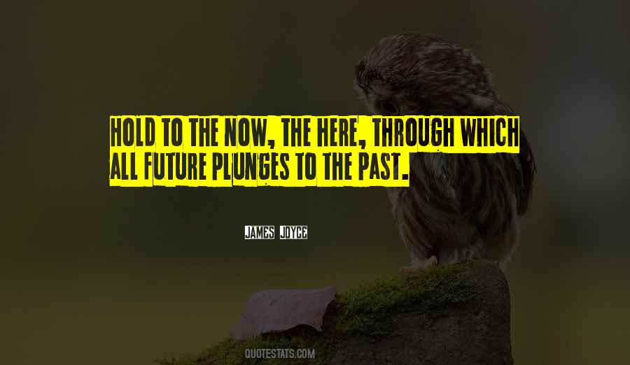 What The Future May Hold Quotes #31265