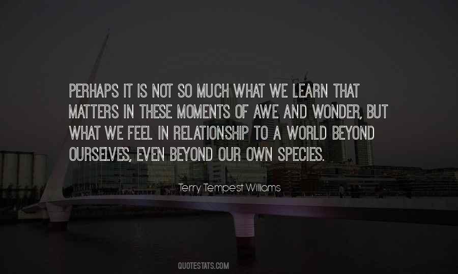 What We Learn Quotes #1374945