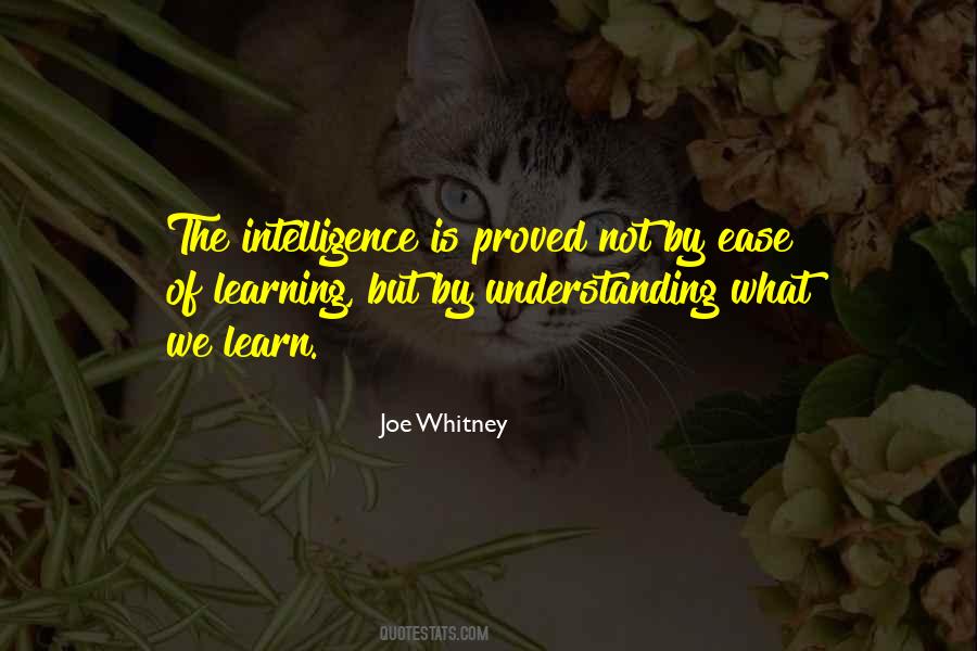 What We Learn Quotes #977538