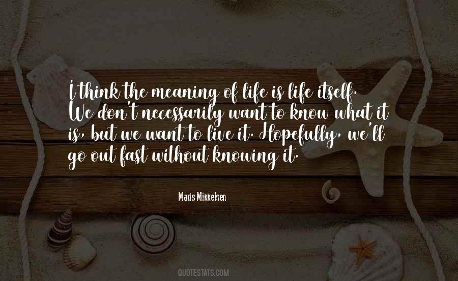 What We Want Out Of Life Quotes #993489