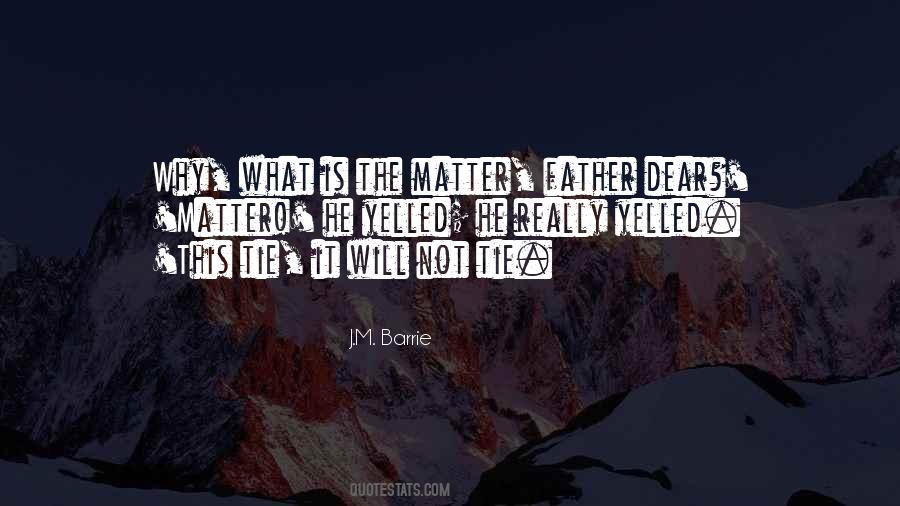 What Will Matter Quotes #46045
