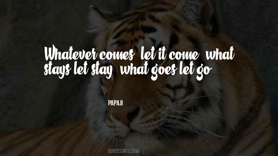 Whatever Comes Quotes #1259047